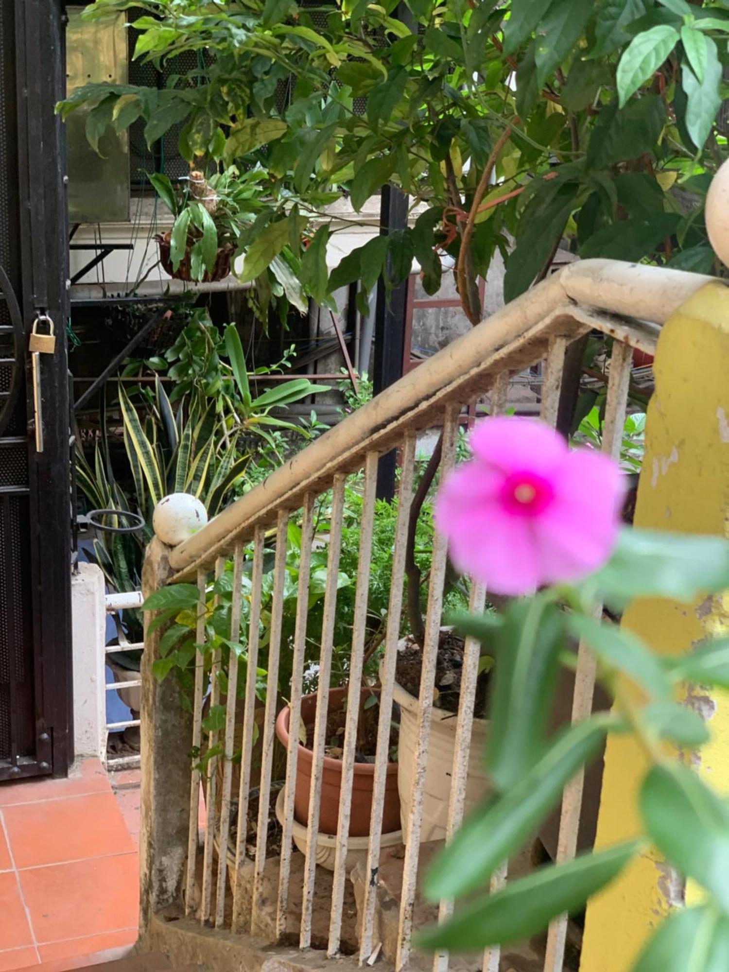 Charmcham House Leilighet Hanoi Eksteriør bilde