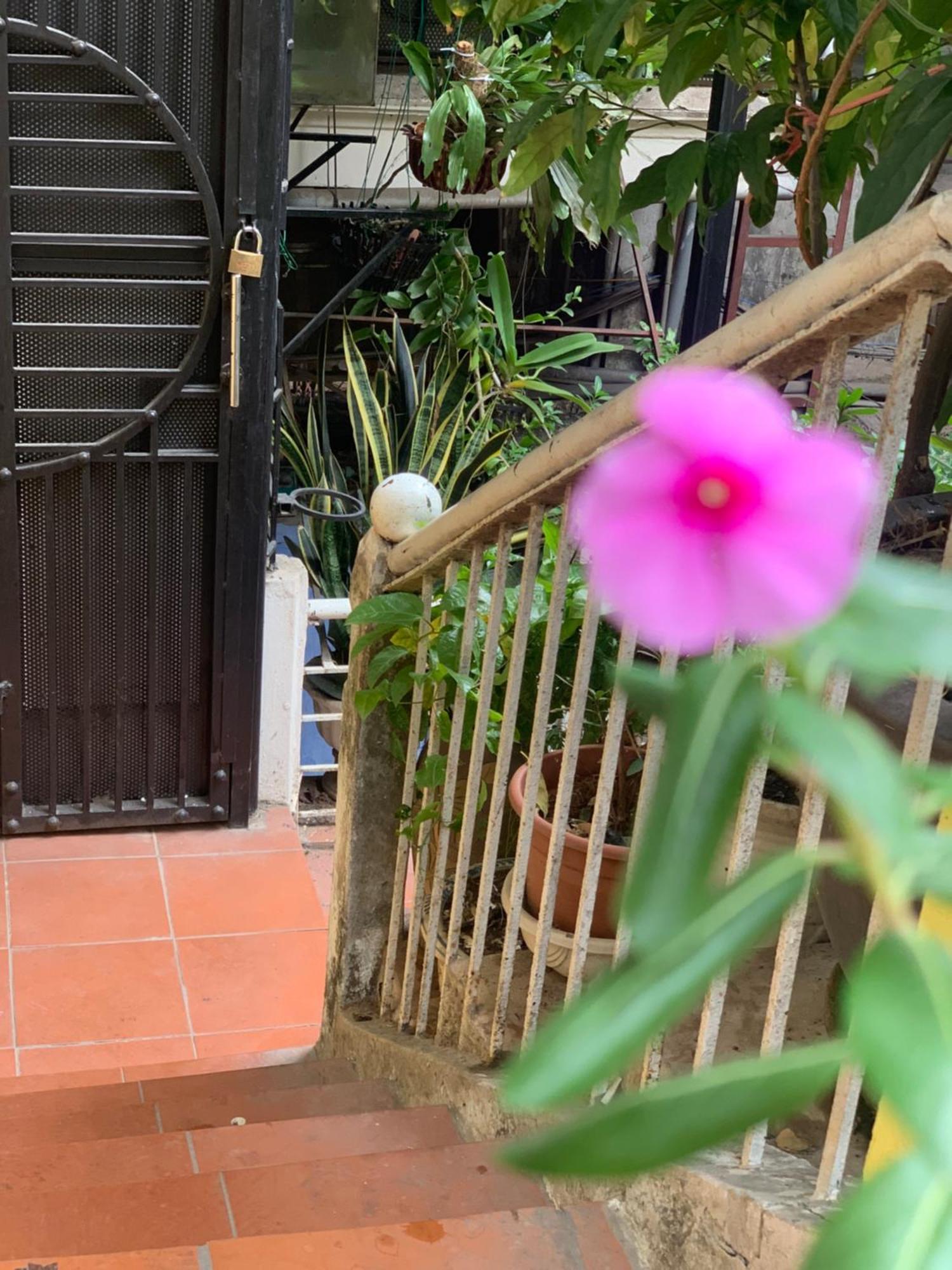 Charmcham House Leilighet Hanoi Eksteriør bilde